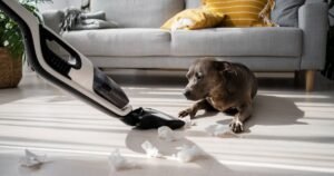 Best Pet Hair Vacuum