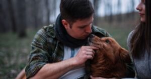 pet cremation near me