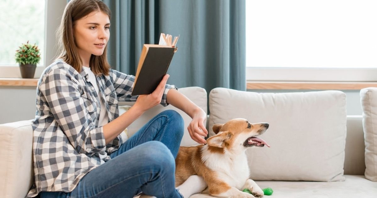 pet sitting